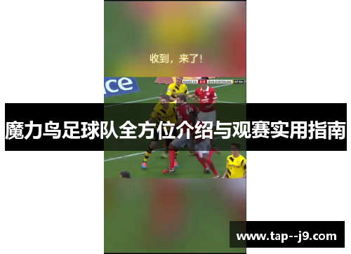 魔力鸟足球队全方位介绍与观赛实用指南