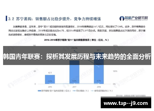 韩国青年联赛：探析其发展历程与未来趋势的全面分析